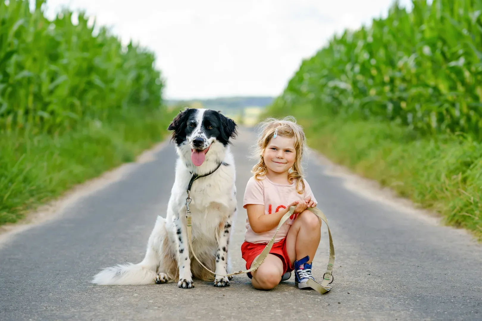 Hundehalterhaftpflichtversicherung
